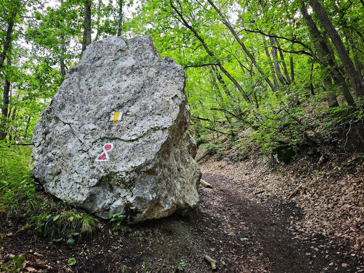 Cheile Turzii - foto 5