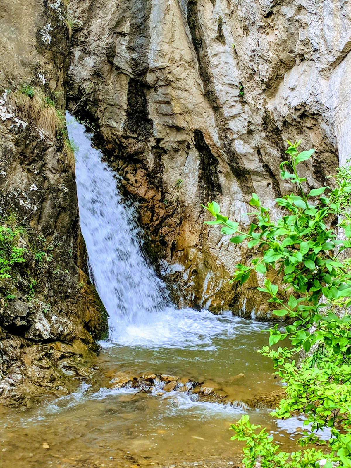 Cheile Văii Cetii