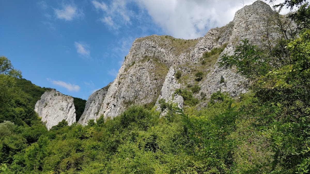 Cheile Văii Cetii - foto 2