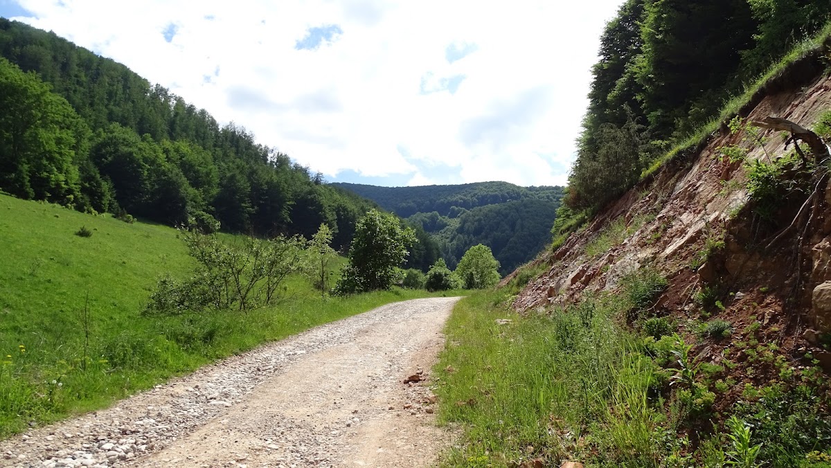Cheile Văii Morilor - foto 2