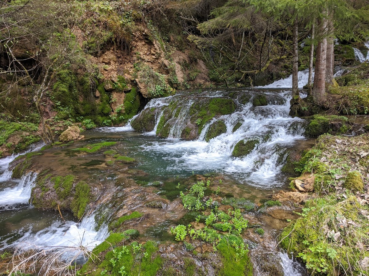 Cheile Văii Morilor - foto 3