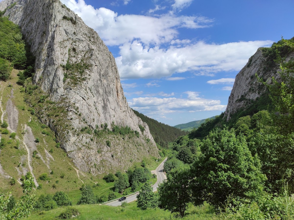 Cheile Vălișoarei - foto 3