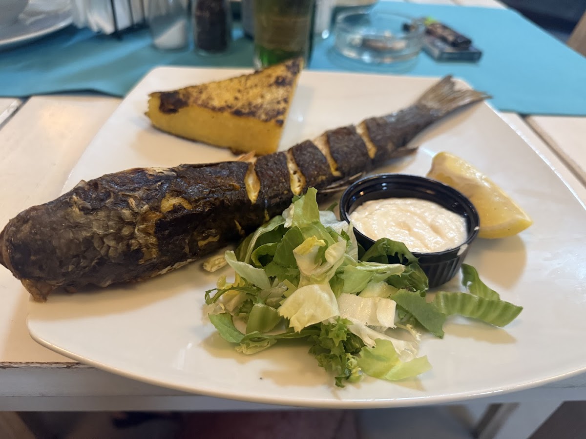 Cherhanaua La Navod Navodari - foto 4