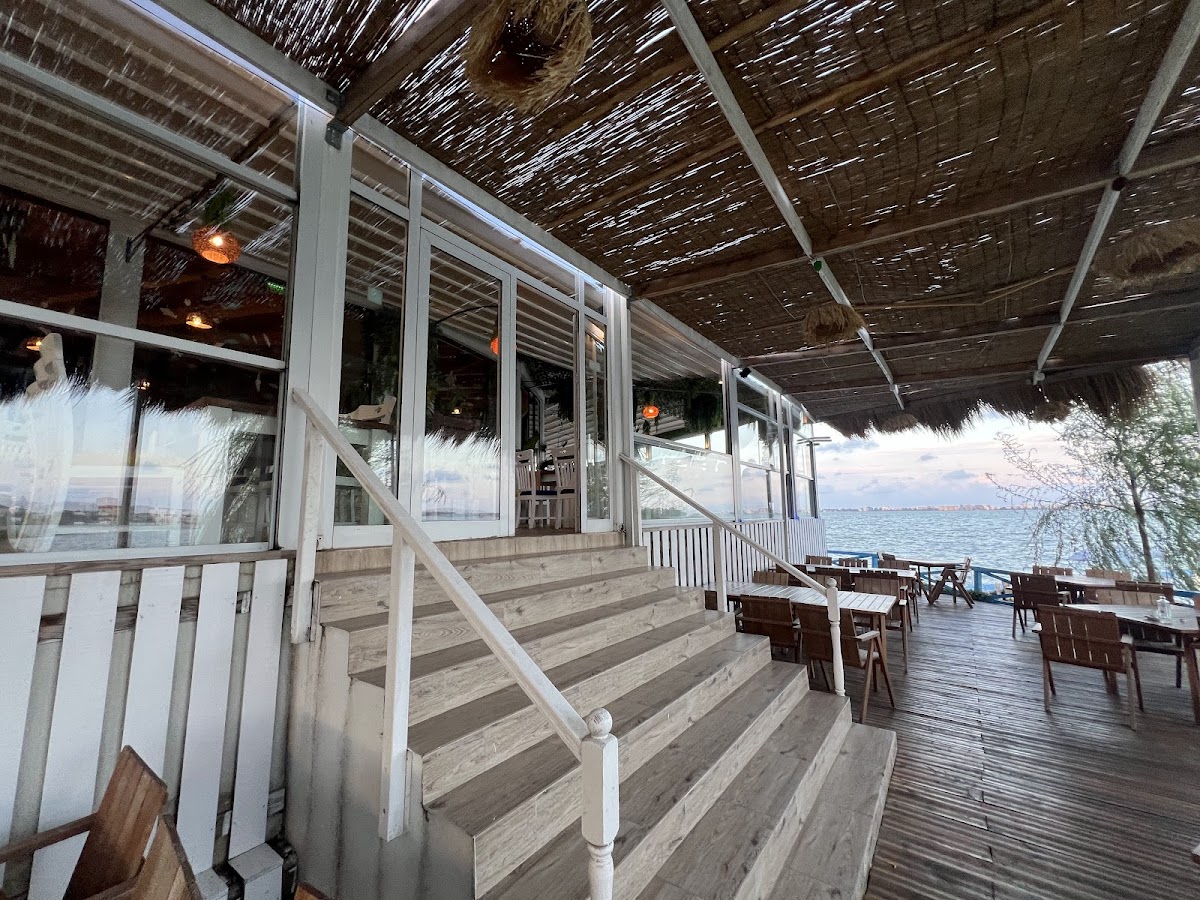 Cherhanaua Ovidiu - foto 1