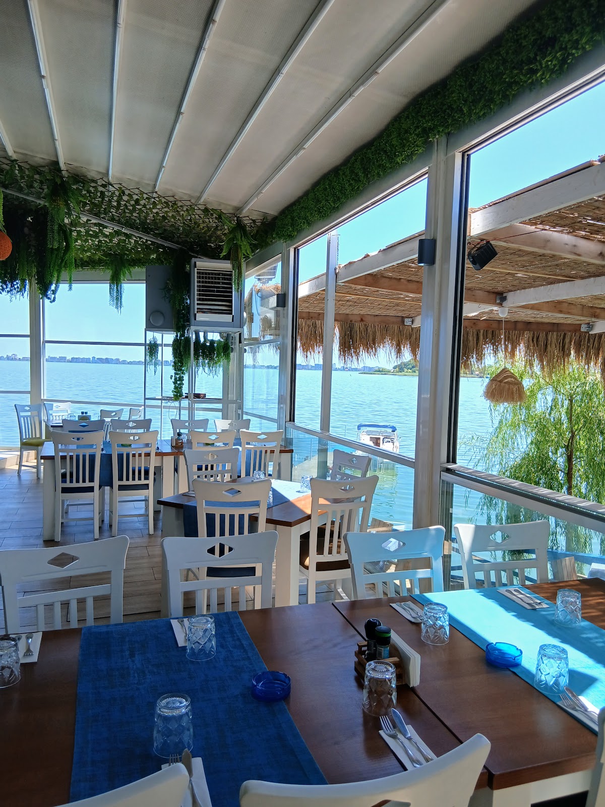 Cherhanaua Ovidiu - foto 5