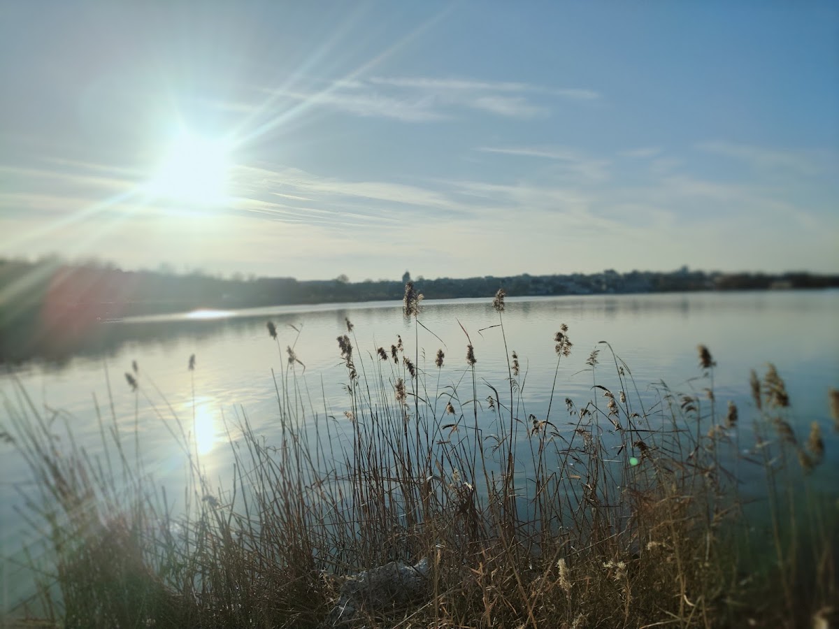 Cherhanaua Tașaul - foto 4