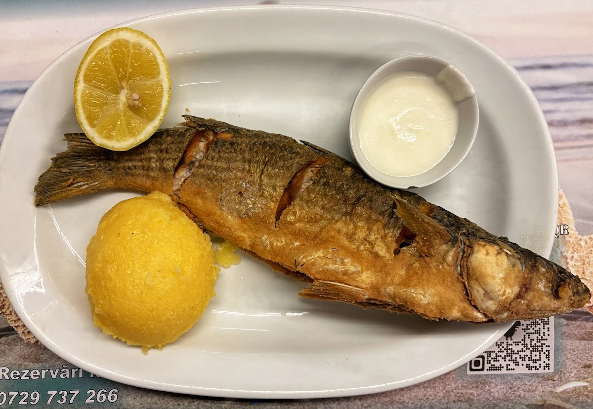 Cherhanaua Tașaul - foto 5