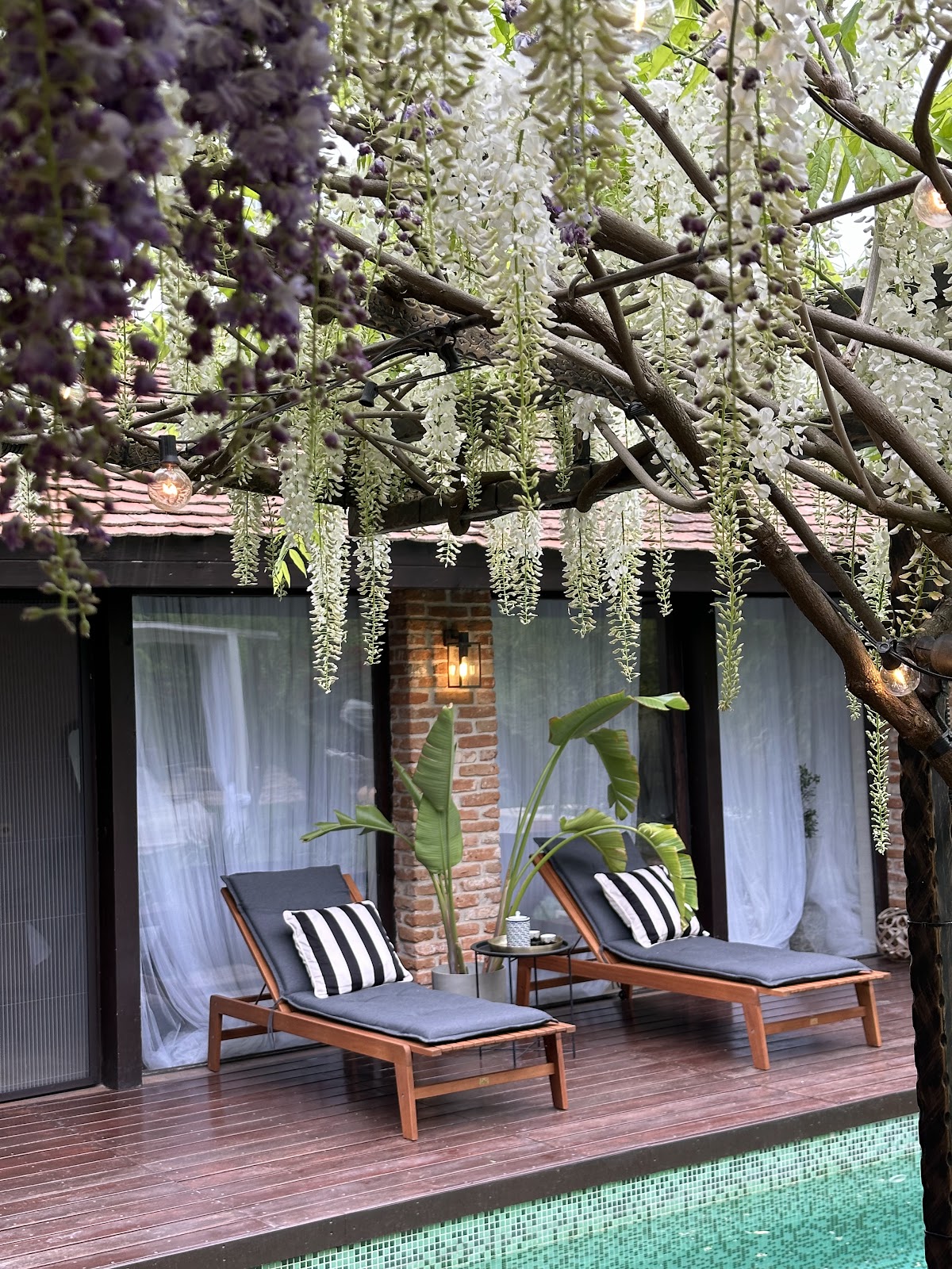 Cherry Vintage Home, Viforâta
