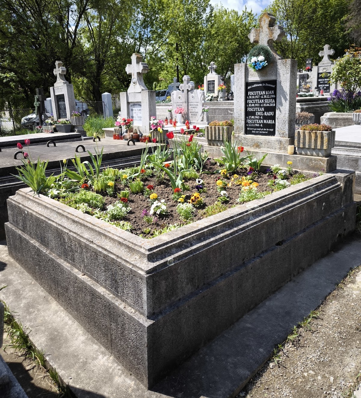 Cimitir ortodox, Reghin