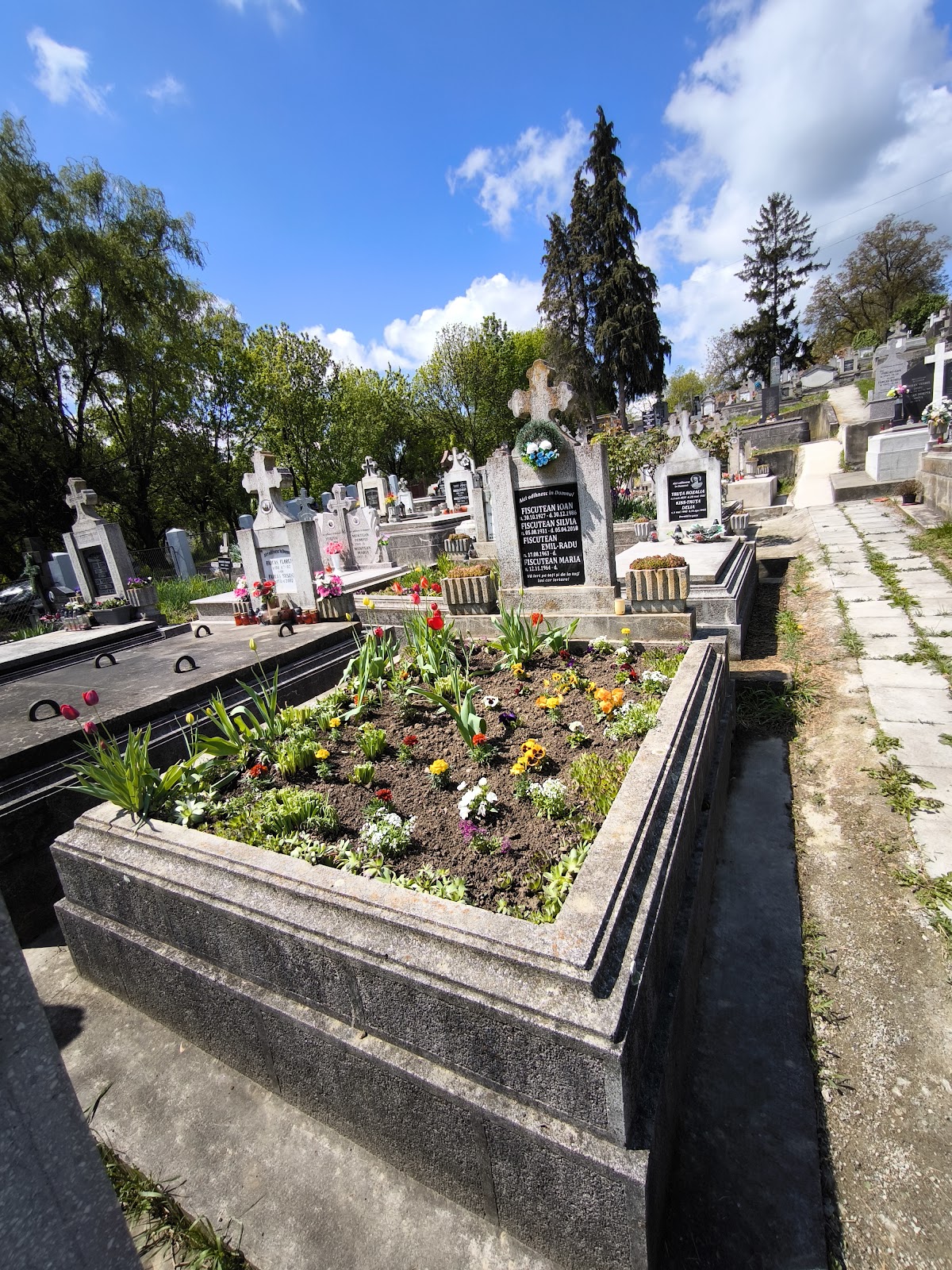 Orthodox Cemetery - foto 5