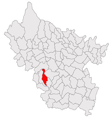 Cimitirul vechi Pietroasele, Pietroasele