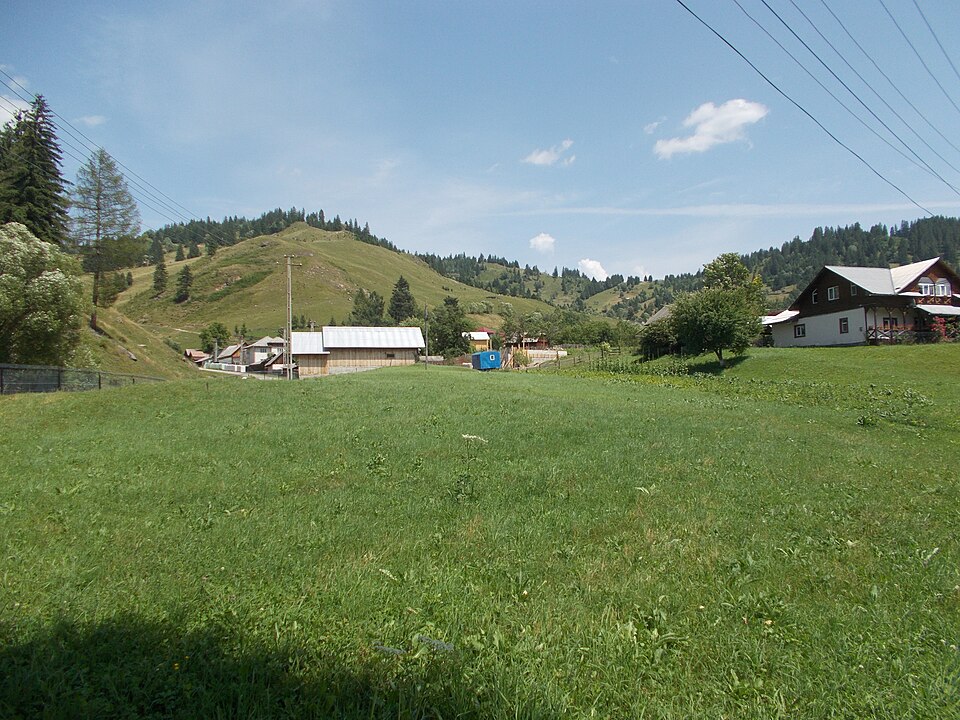 Cimitirul vechi Satu Mare (Crucea)