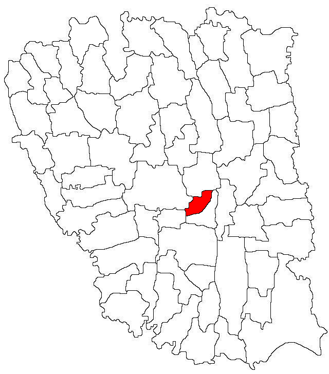 Cimitirul vechi Suhurlui, Suhurlui