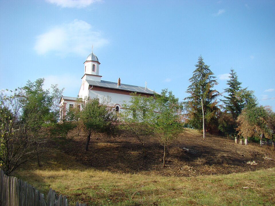 Cimitirul vechi Tâmna