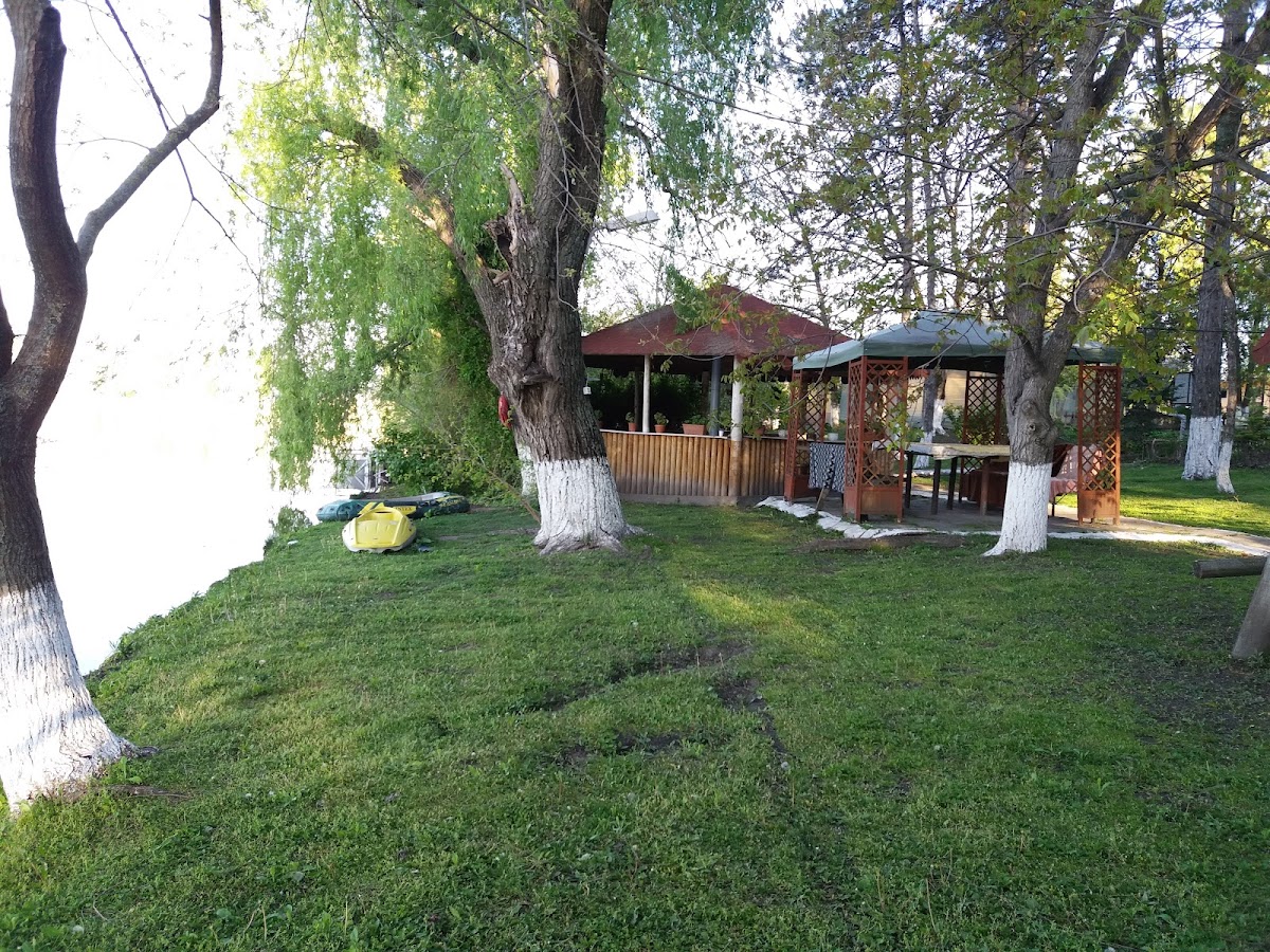 Ciocanesti Piscicola - foto 3