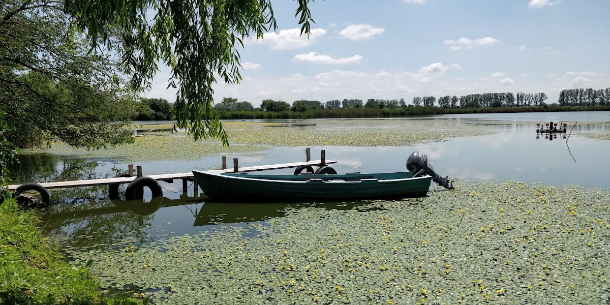 Ciocanesti Piscicola - foto 4