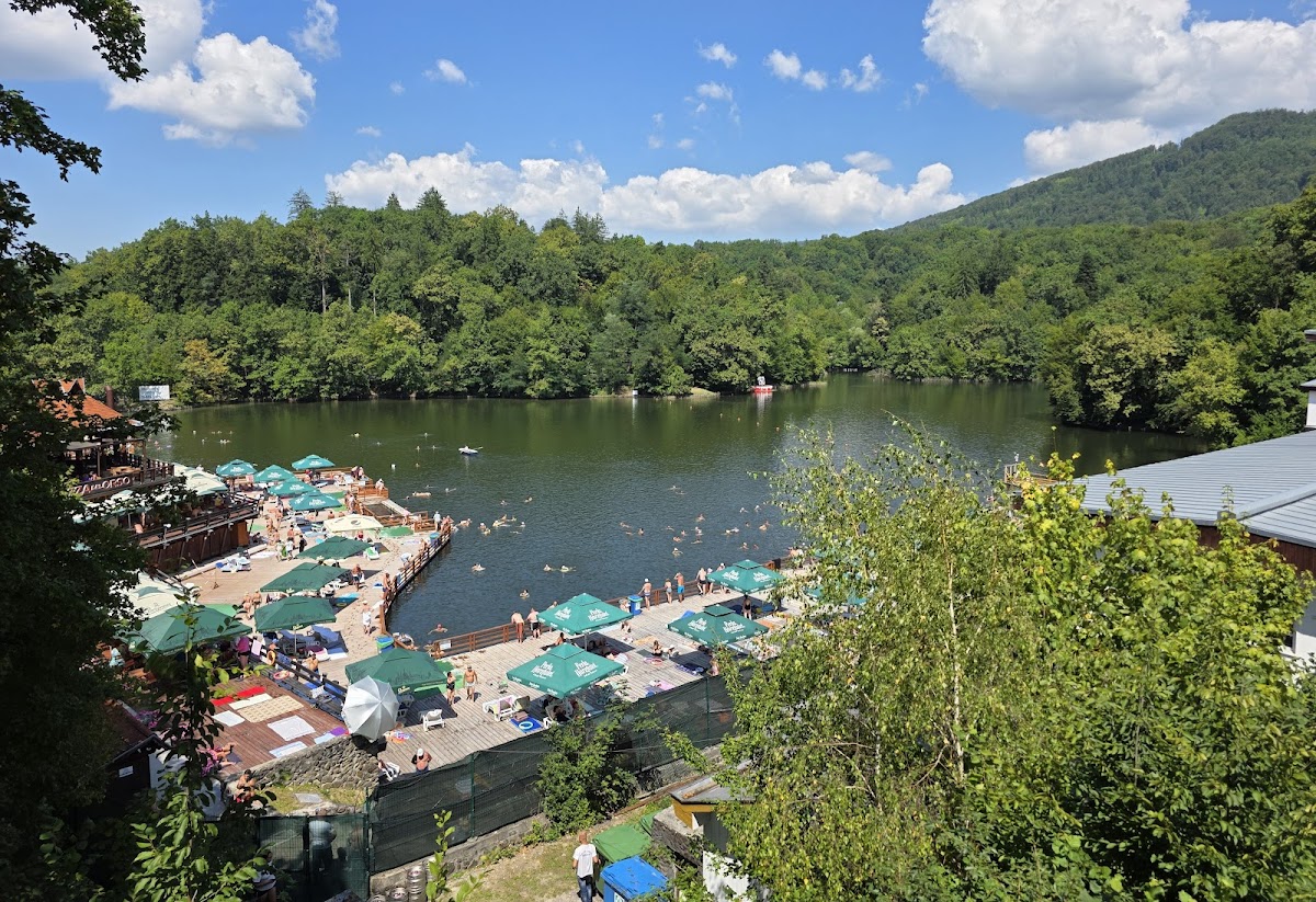 Ciuperca Mică - foto 3