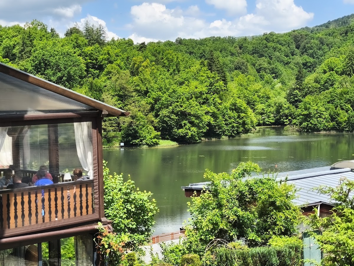 Ciuperca Mică - foto 5