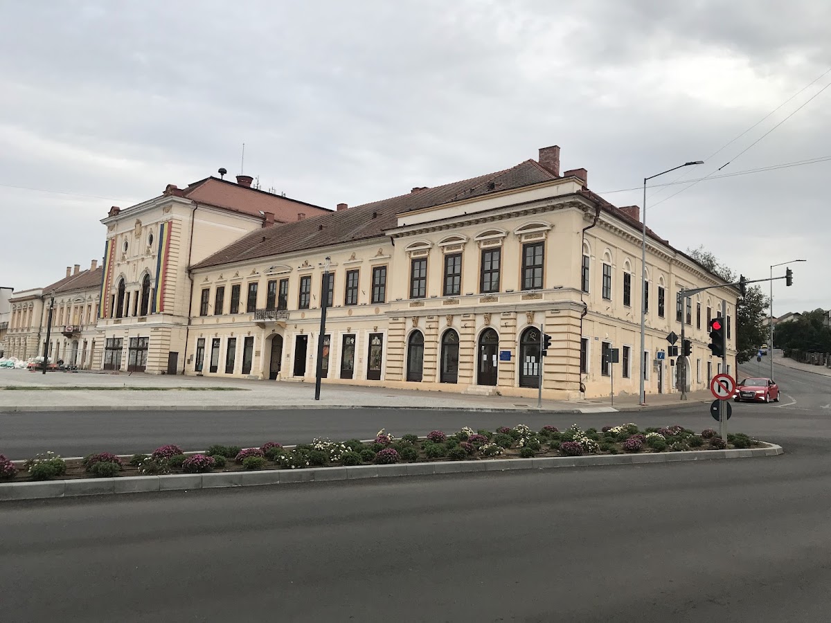 Clădirea Transilvania - foto 3