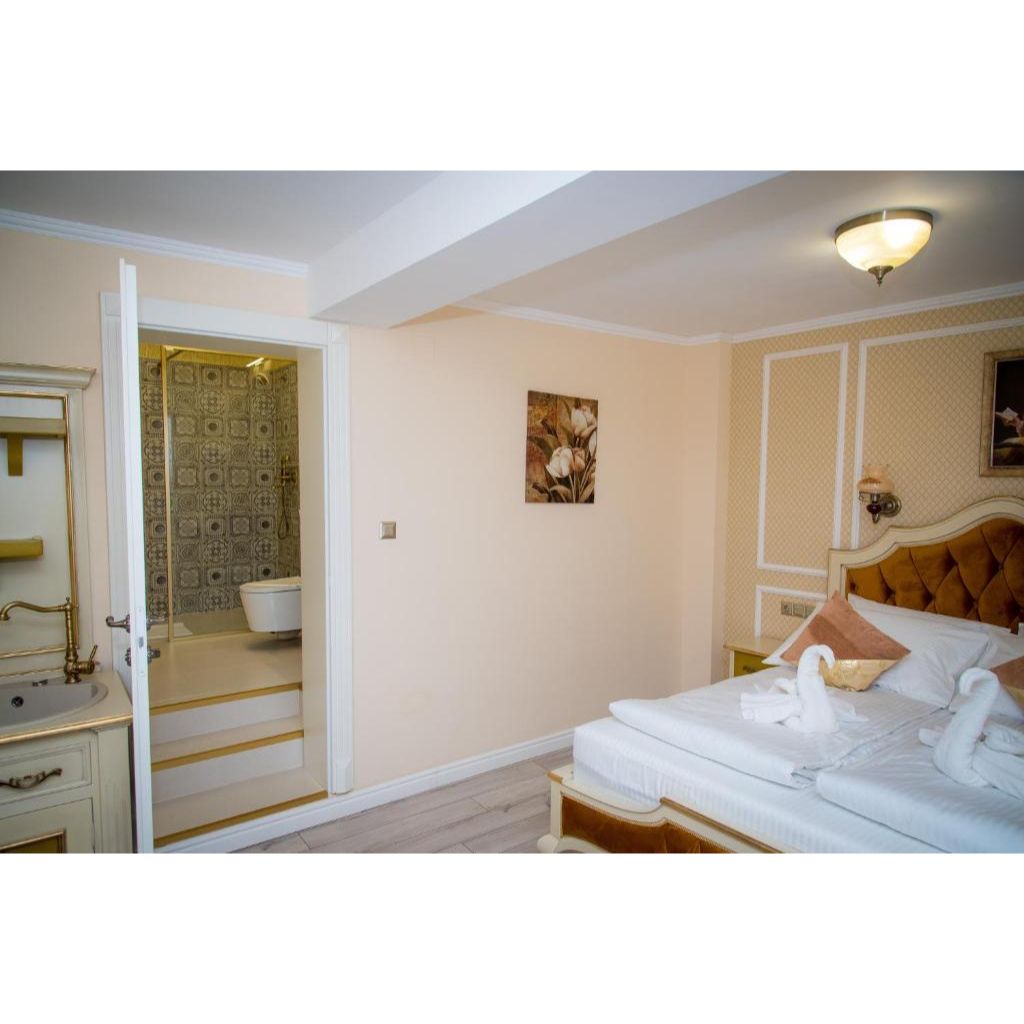 Cochet House Sibiu