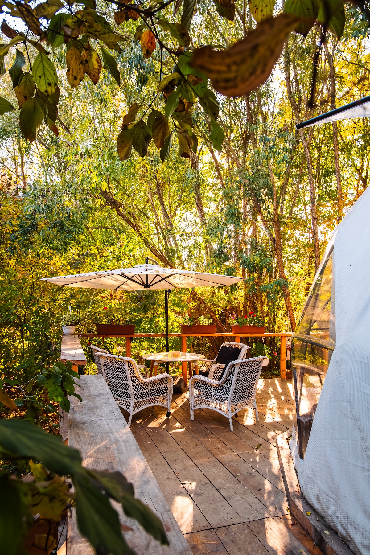 Coco Glamping & Retreat