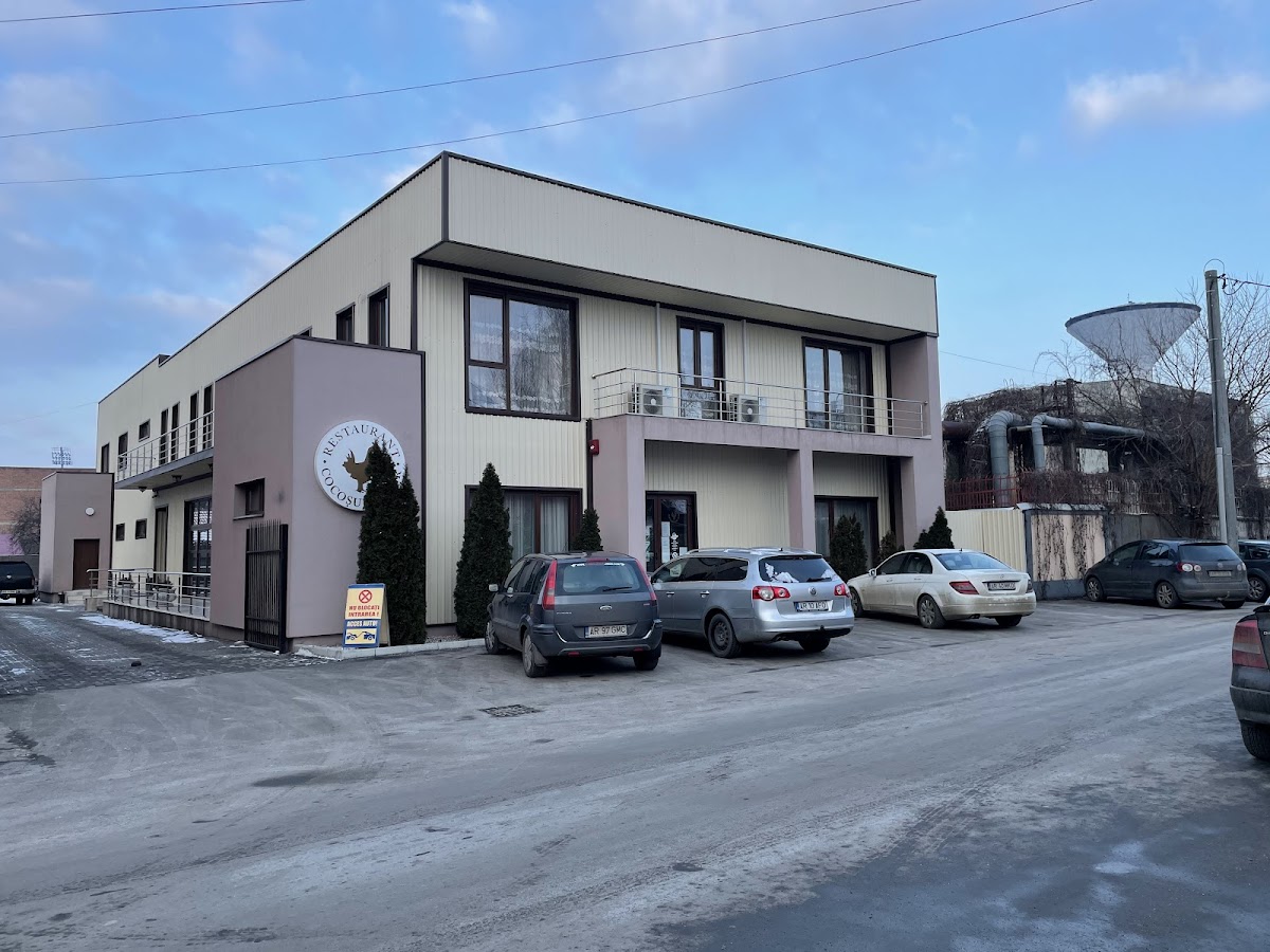 Cocoșul de aur - foto 3