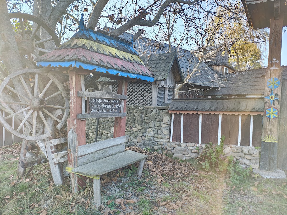 ETHNOGRAPHIC COLLECTION 'FELICIA AND DIONIZIE OLENICI' - foto 1