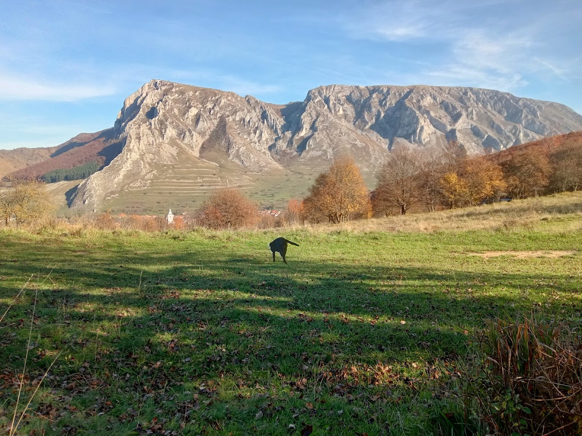 Colții Trascăului - foto 2