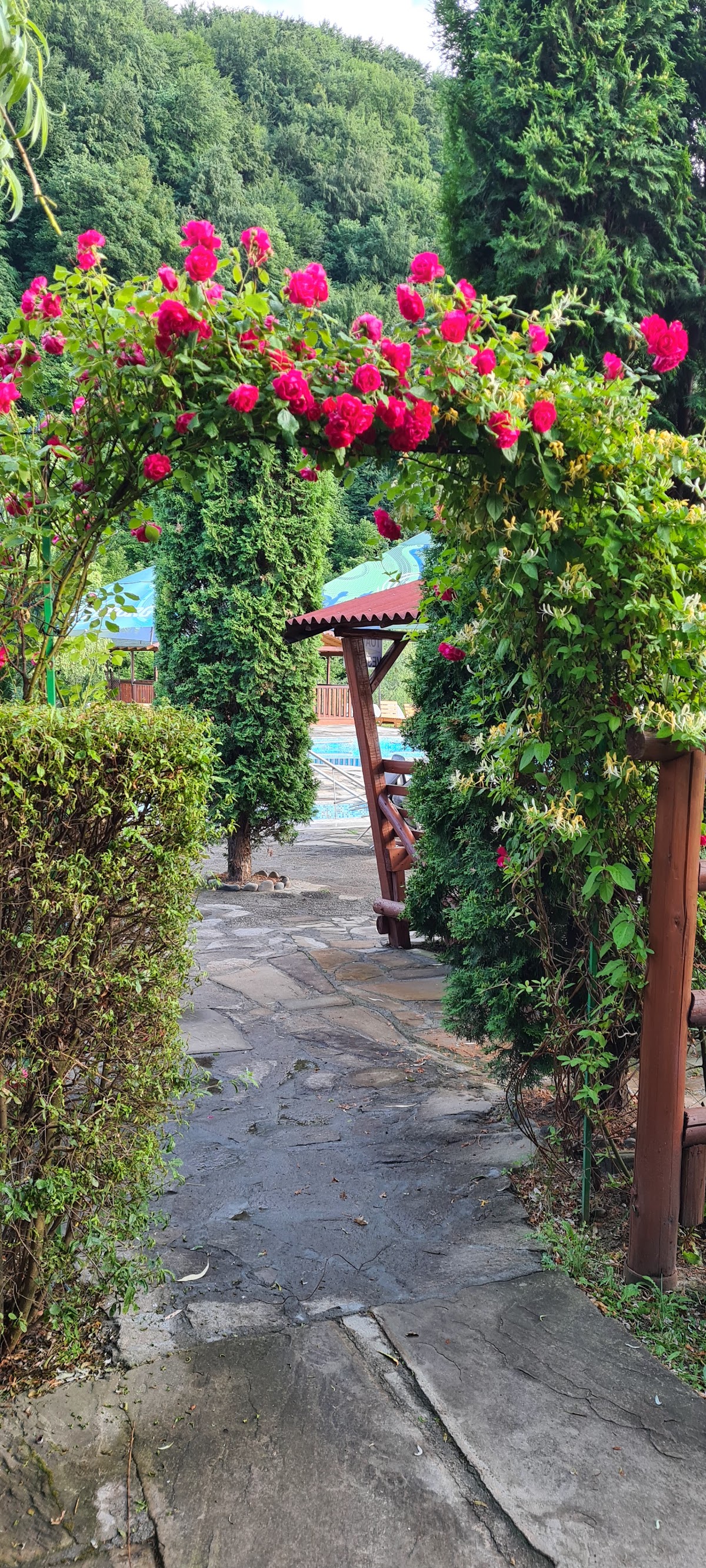 Complex la Dany - foto 3