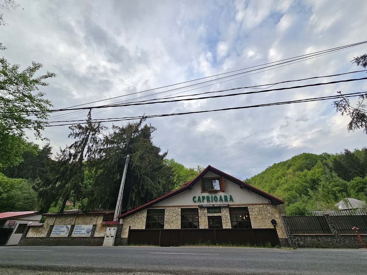 Touristenkomplex Căprioara