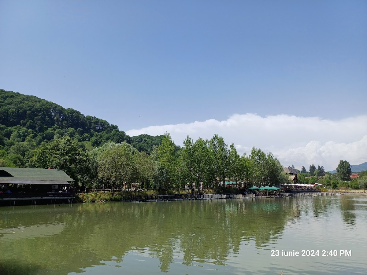 Complex Turistic Casa Lăzăroiu - foto 3