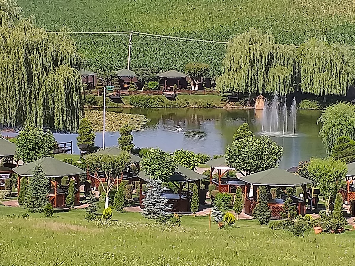 Complesso Turistico Darina Sâncraiu de Mureș - foto 4