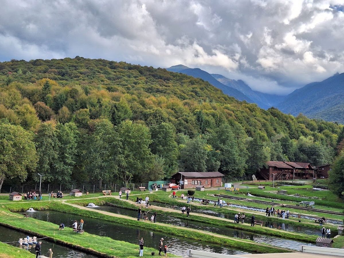 Complex Turistic Păstrăvăria Albota - foto 4