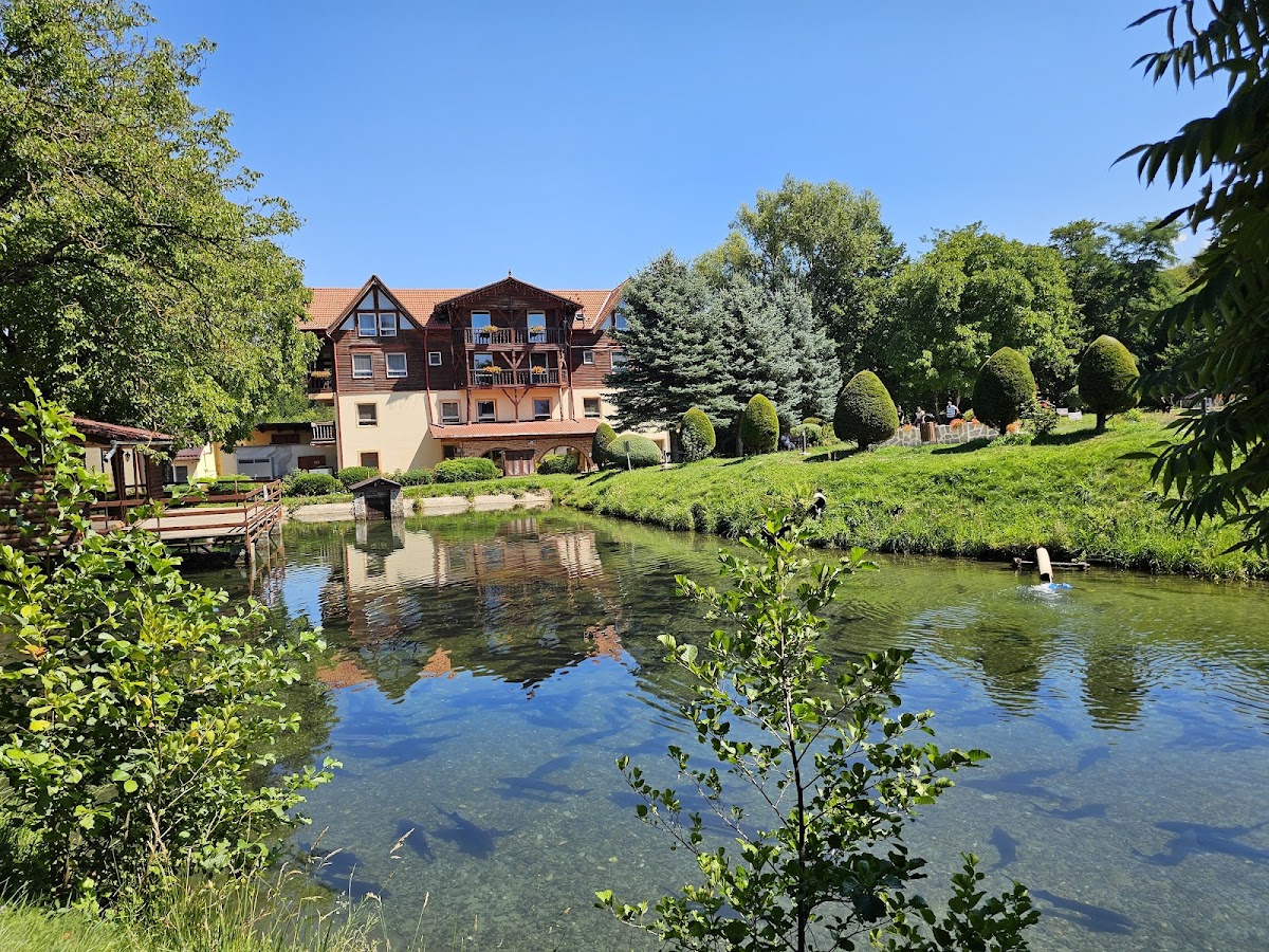 Complex Turistic Păstrăvăria Albota - foto 5