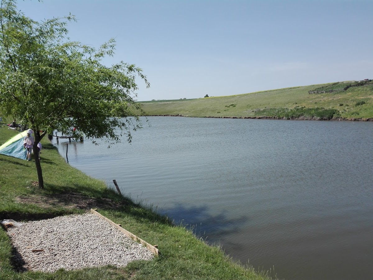 Complesso Turistico Valea Iazurilor - foto 4