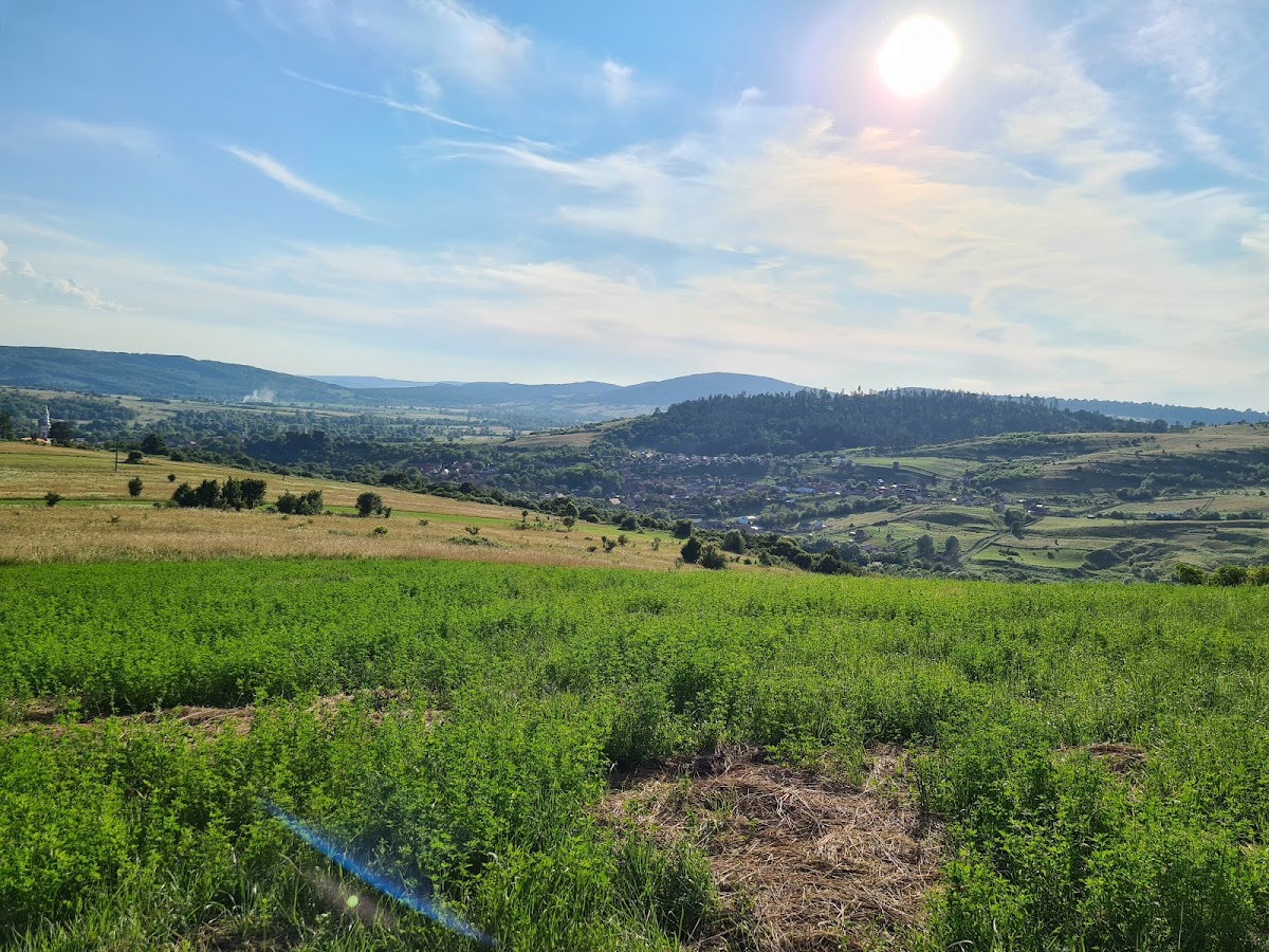 Complejo Geológico de Racoș - foto 4