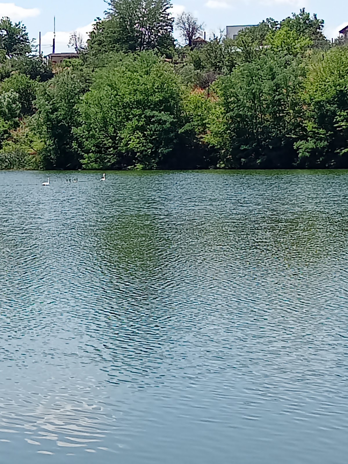 Complexe Lacustre Preajba-Făcăi - foto 5