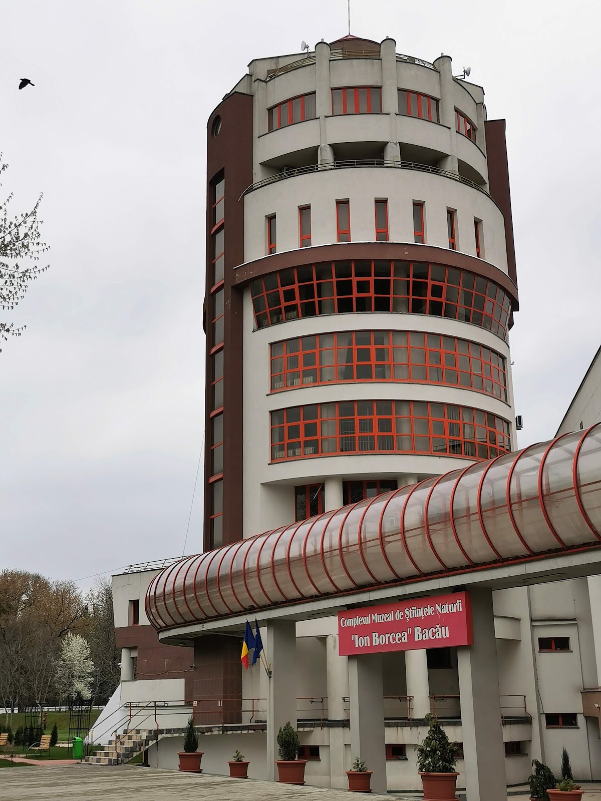 Ion Borcea Természettudományi Múzeumkomplexum - foto 1