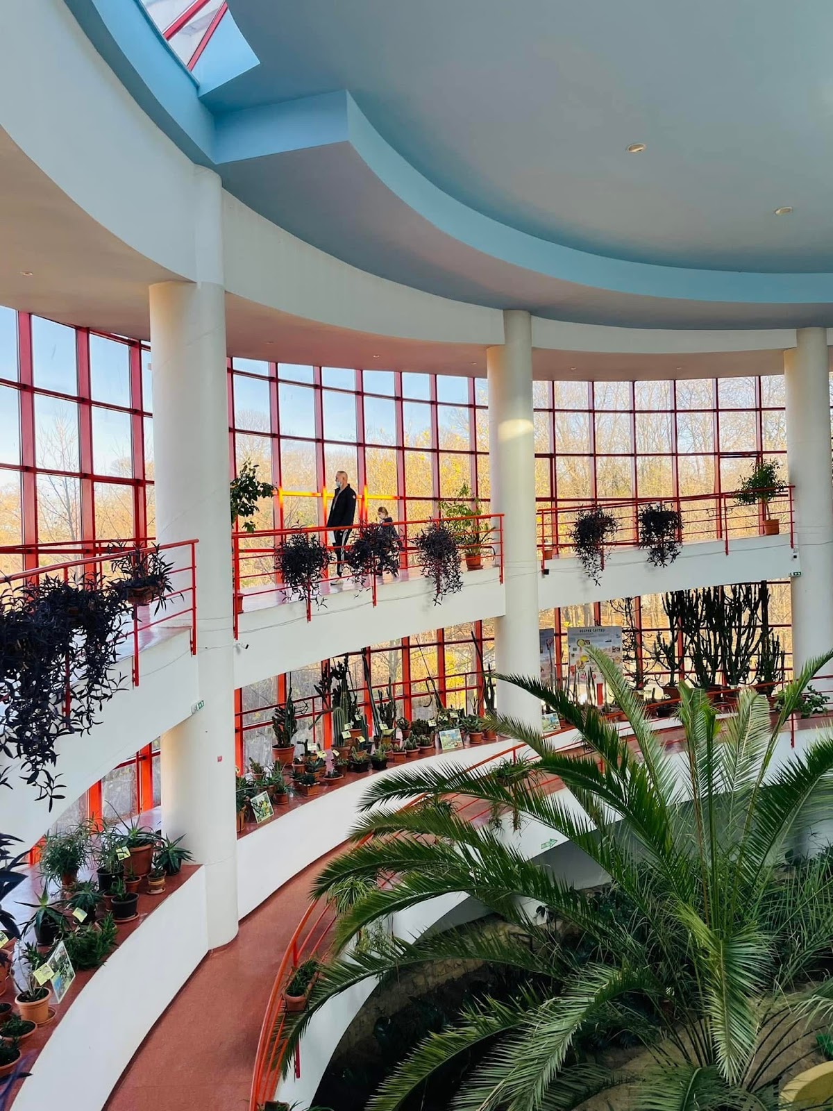 Ion Borcea Természettudományi Múzeumkomplexum - foto 2