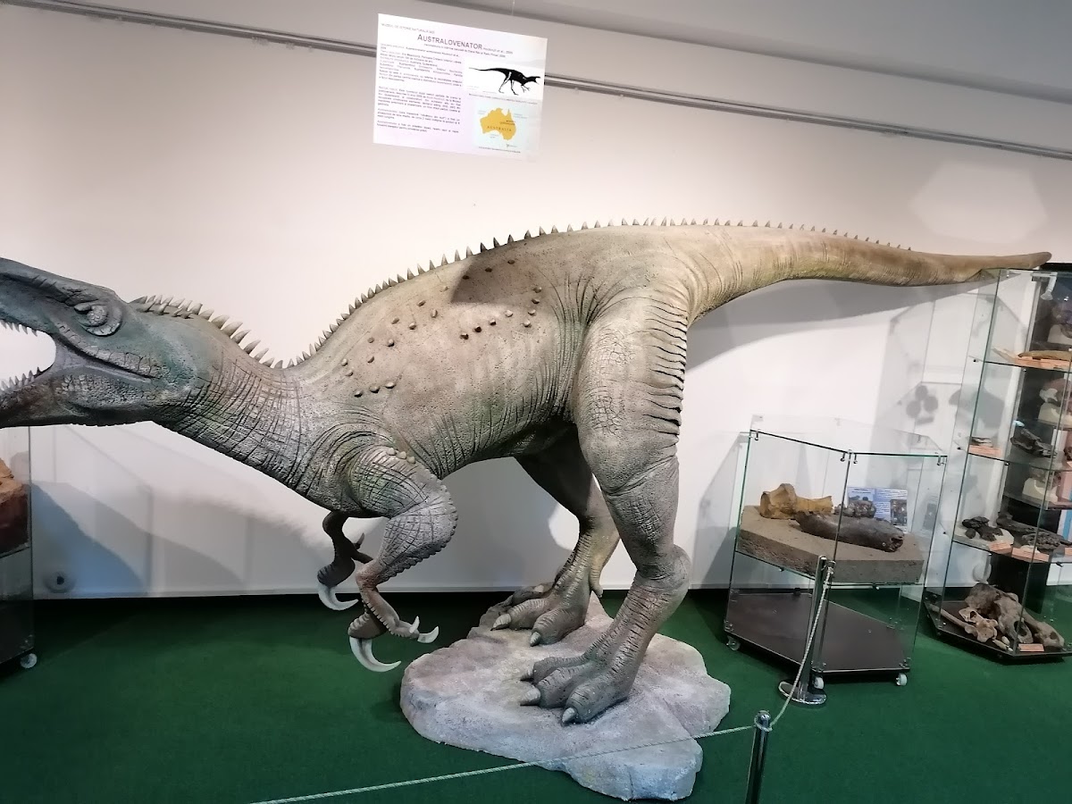 Ion Borcea Természettudományi Múzeumkomplexum - foto 3