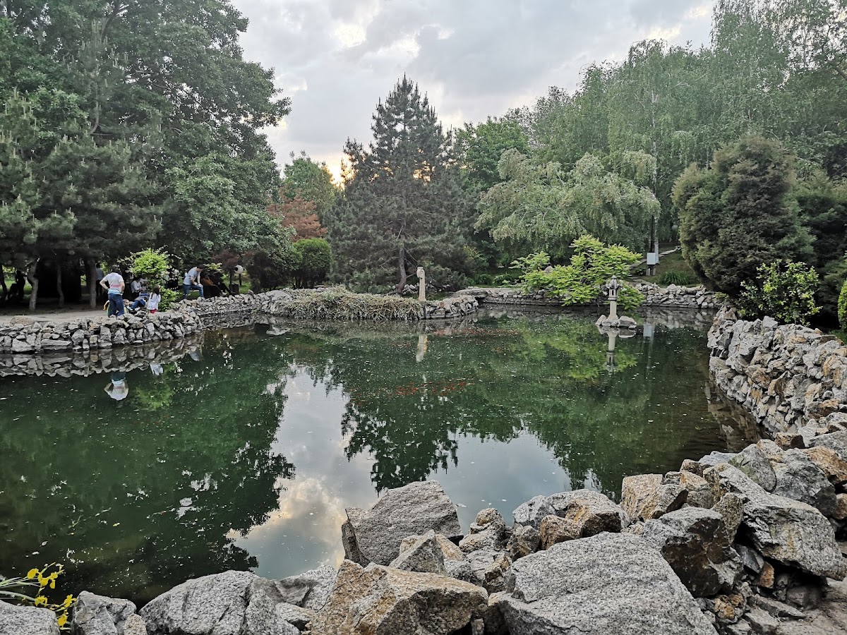 Complexul Muzeal de Științele Naturii "Răsvan Angheluță" Galați - foto 3