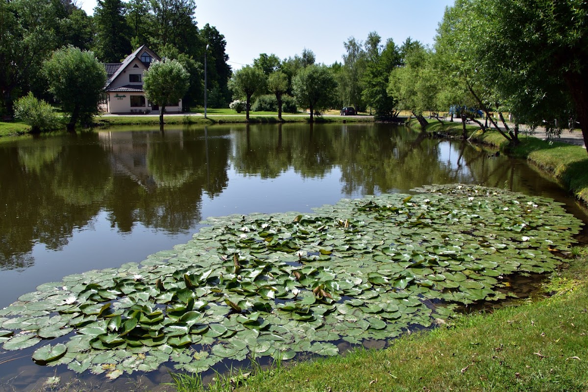 Complexe Touristique Fântânița Crăiesei - foto 4