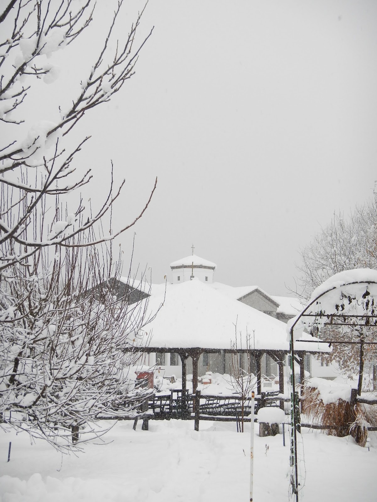 Comunitatea Monastică Preasfânta Treime - foto 5