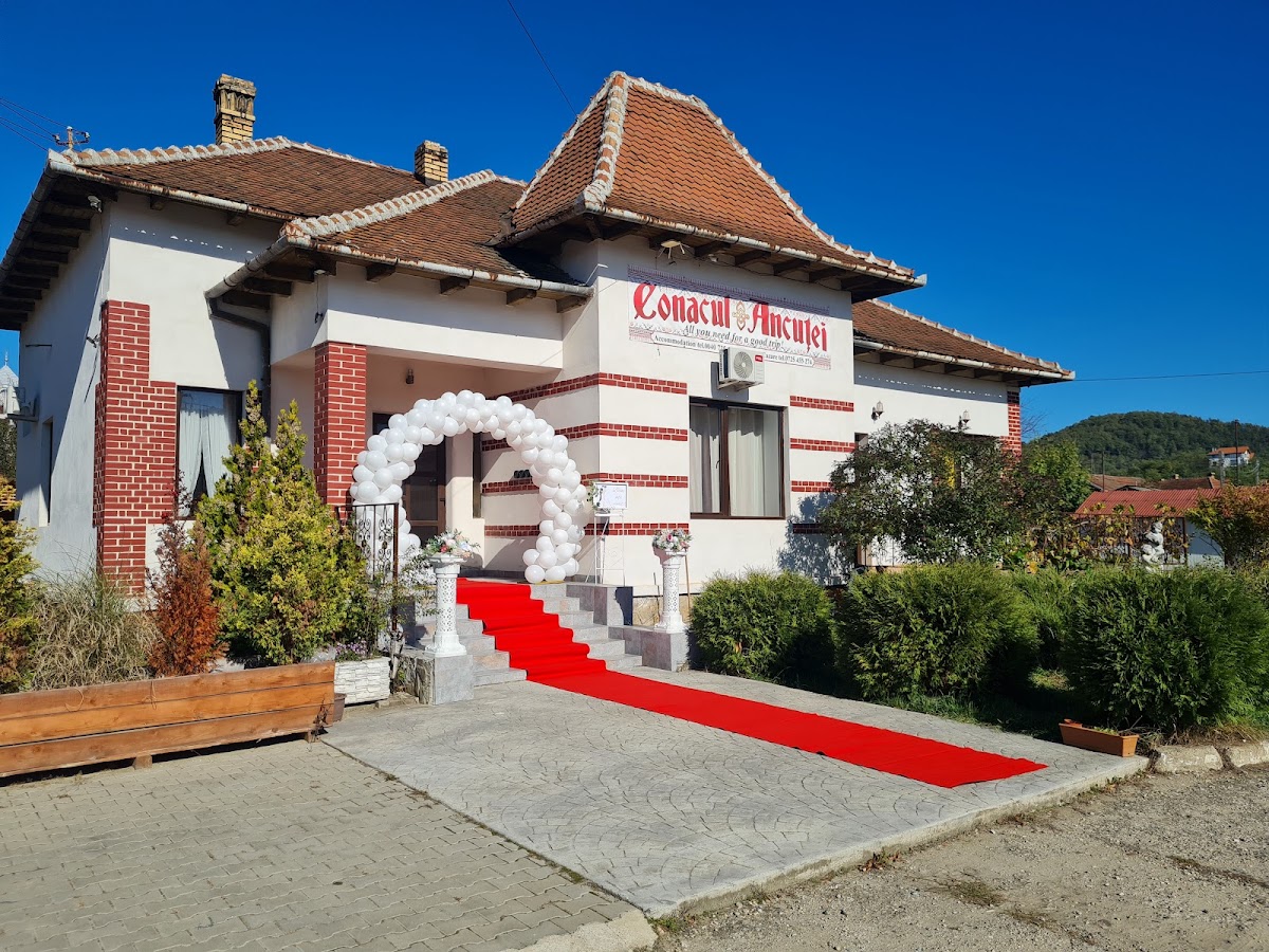 Conacul Ancuței, Brad