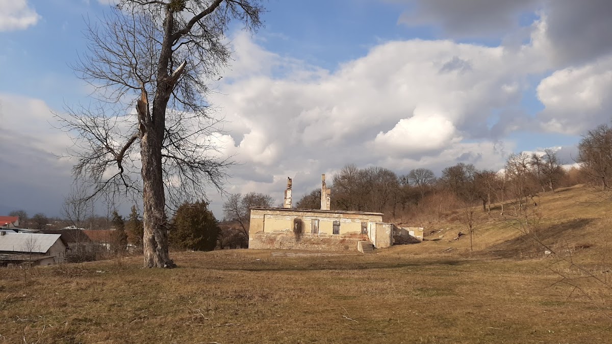 Conacul Crupenschi - foto 4