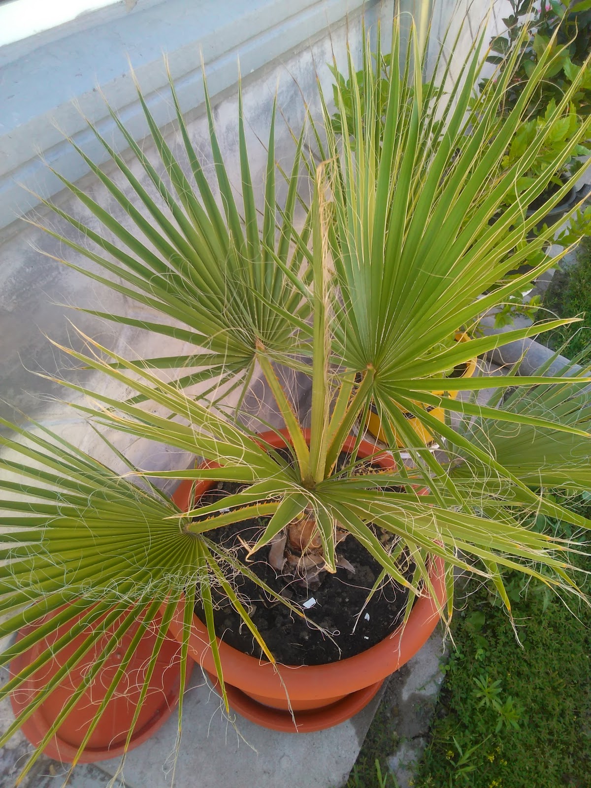 Manoir Dalles - foto 4