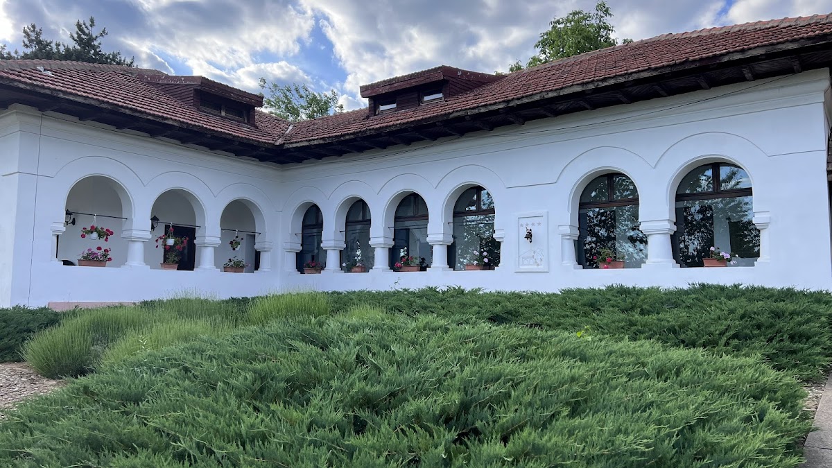 Conacul Dintre Vii - foto 1