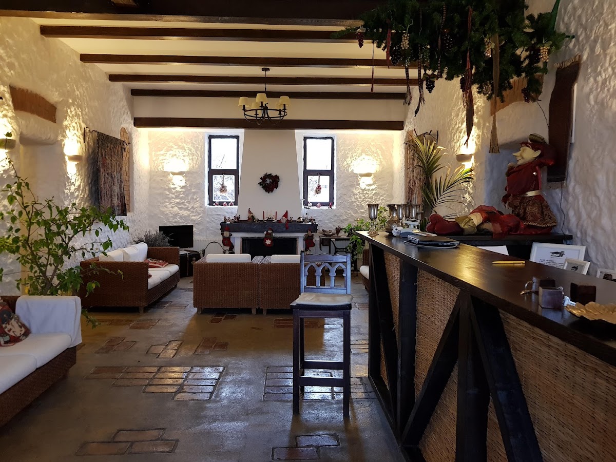 Conacul Dintre Vii - foto 4