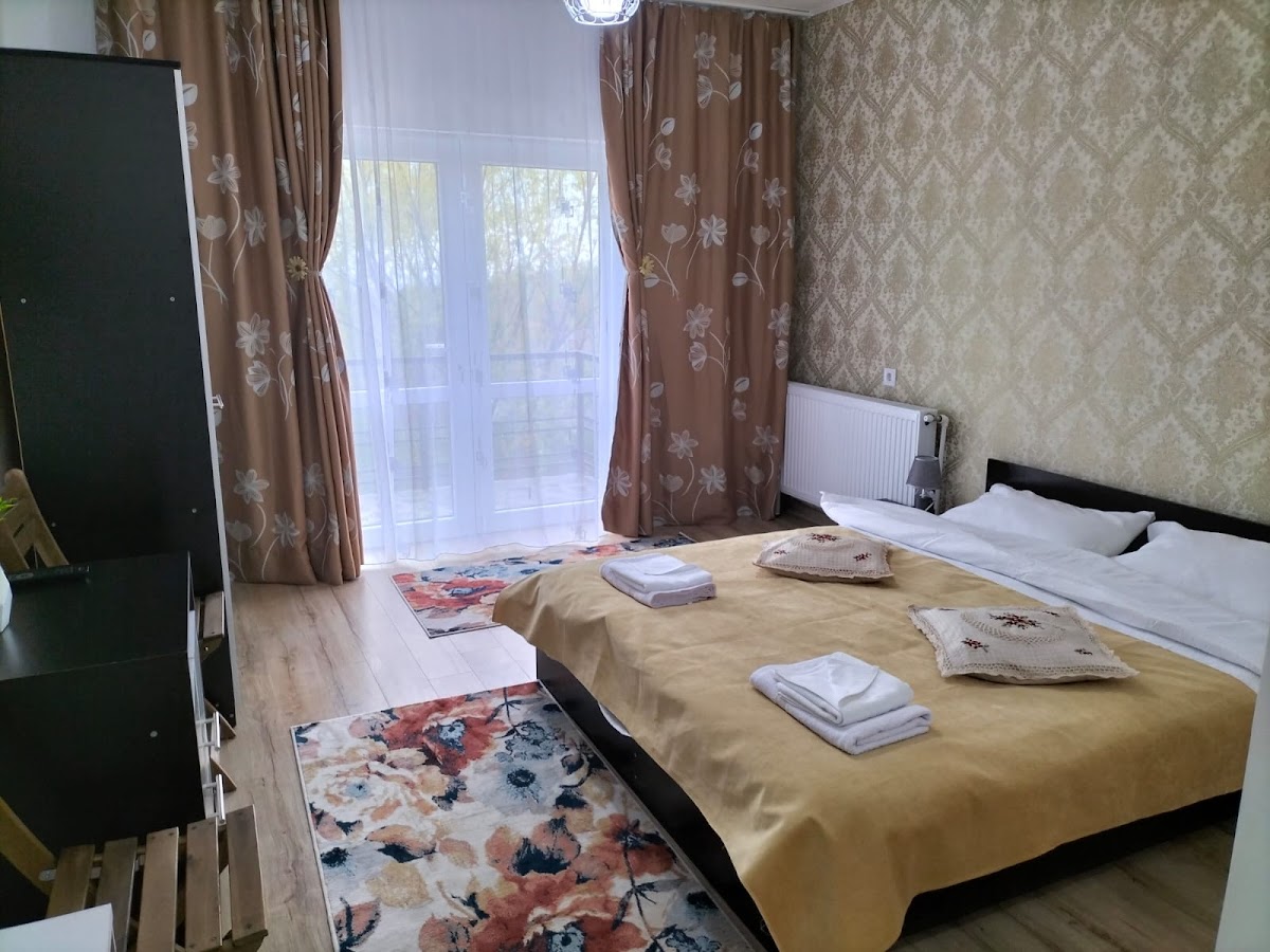 Conacul Doamnei Nucșoara