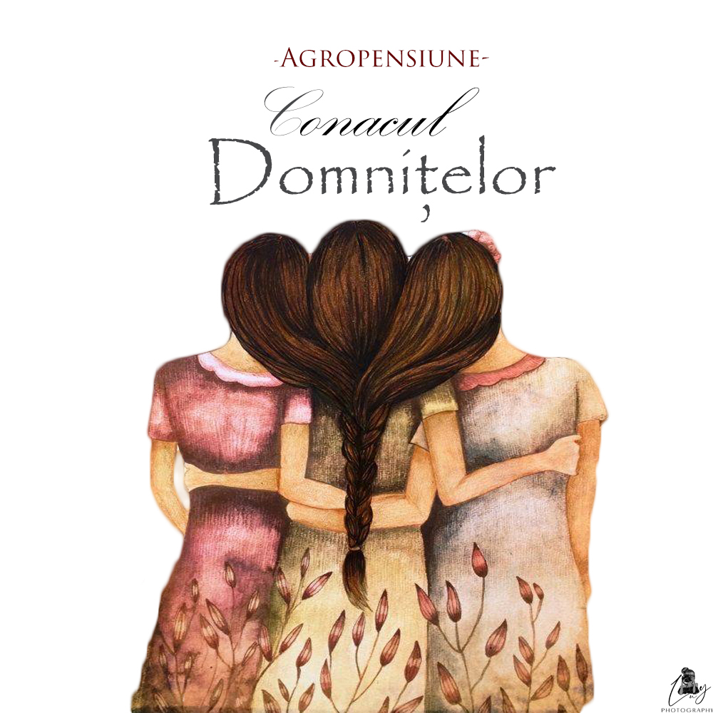 Conacul Domnițelor